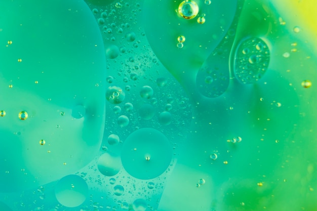 Oleosa texturizada sobre o pano de fundo verde
