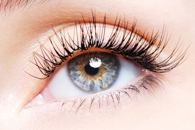 Olho de mulher com cílios postiços enrolados - visão de baixo ângulo