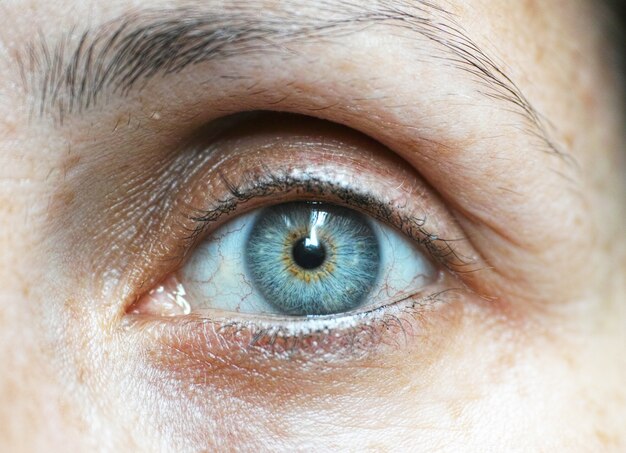 Olhos azuis close-up