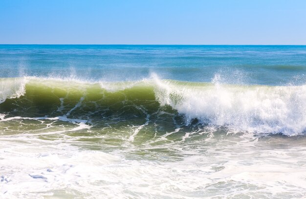 Onda alta do mar