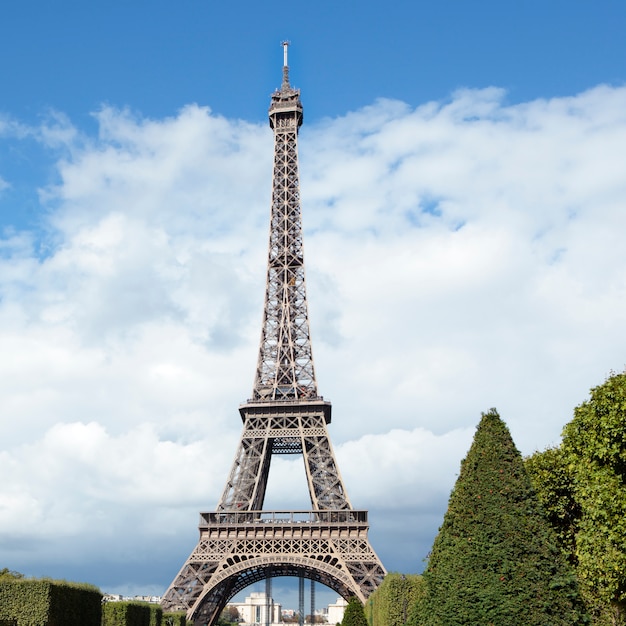 Opinião distante da paisagem da torre Eiffel