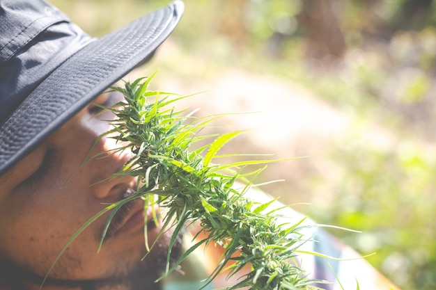 Foto grátis os agricultores mantêm maconha (cannabis) em suas fazendas.