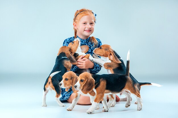 Os filhotes felizes de menina e beagle na parede cinza