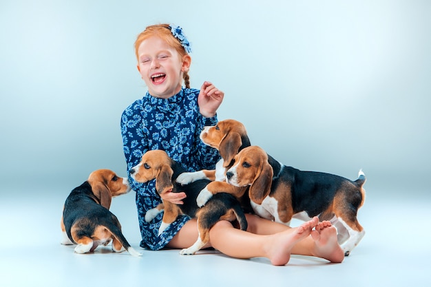 Os filhotes felizes de menina e beagle na parede cinza