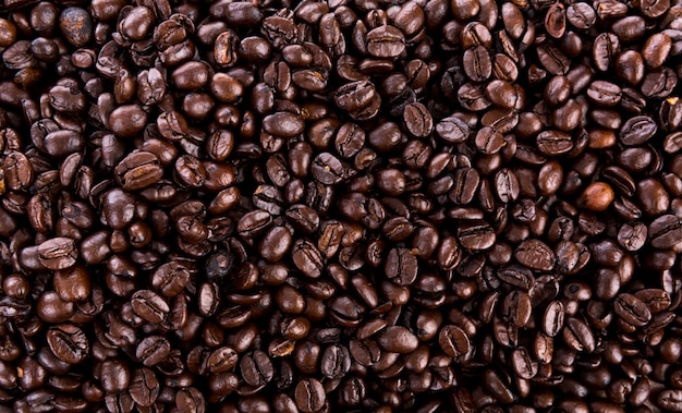 Os grãos de café fundo do close up