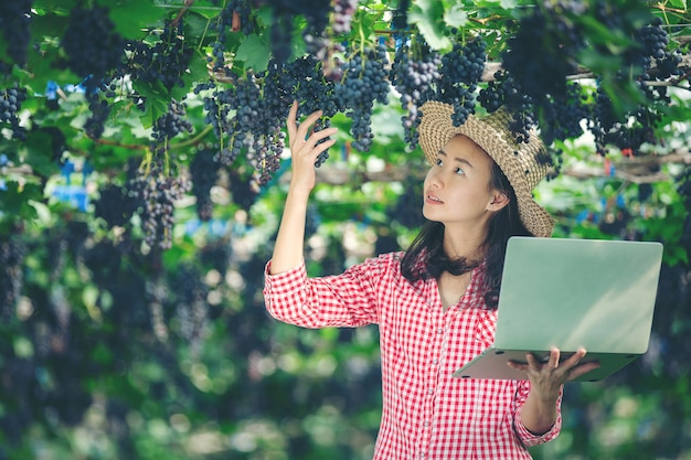 Os produtores de uva estão felizes em vender uvas de mercado on-line