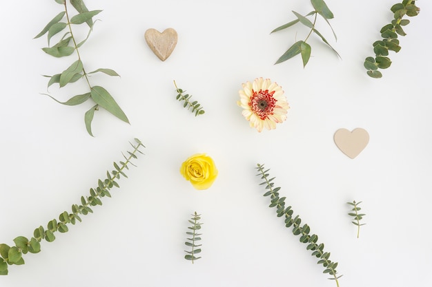 Foto grátis Ótima composição com plantas e corações