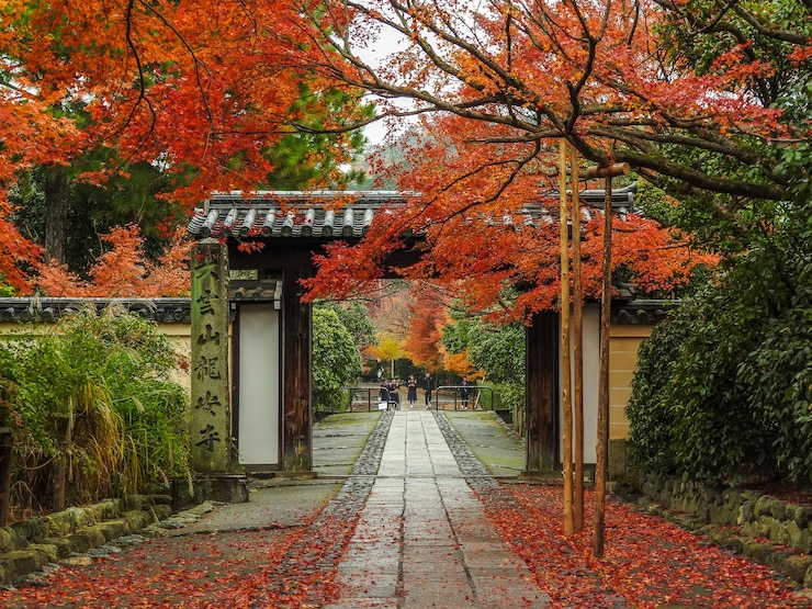 Foto grátis outono em kyoto