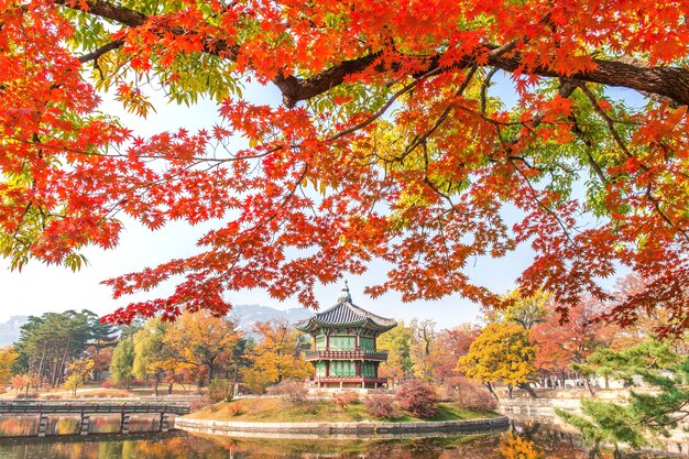 Outono no Palácio Gyeongbukgung, Coreia.