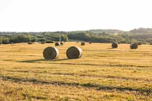 Foto grátis outono, paisagem, com, hays, campo