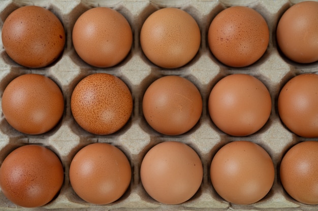 Ovos de galinha crua alimentos orgânicos para uma boa saúde e alta proteína.