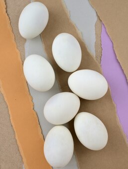 Ovos planos sobre fundo de papel rasgado em tons pastéis fotografia de estilo de vida morta