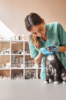 Paciente jovem veterinária fofa com uniforme de trabalho verificando os dentes do gato preto sentado