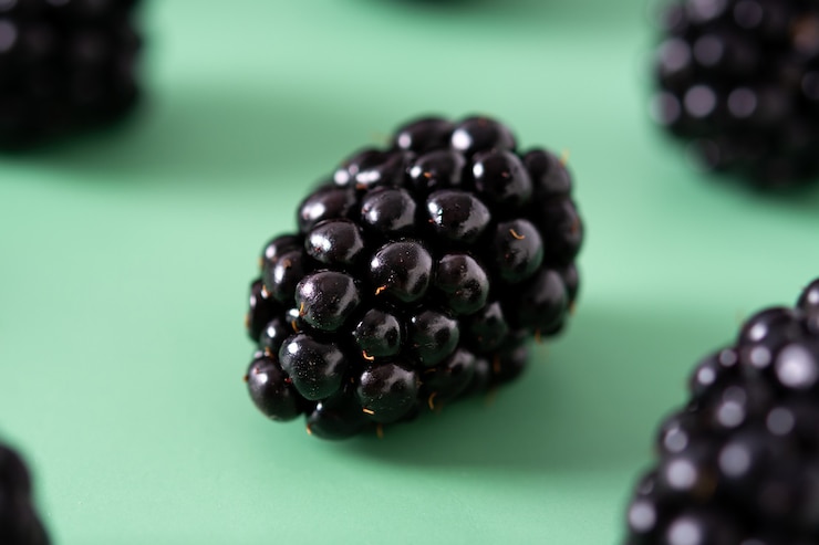 Foto grátis padrão de blackberry em fundo verde