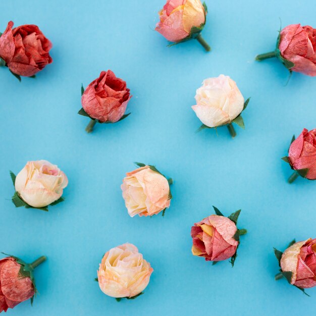 padrão de lindas rosas sobre fundo azul