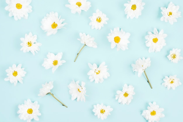 Foto grátis padrão sem emenda de flor branca em fundo azul