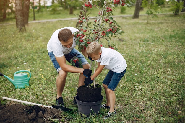 Pai com filho pequeno estão plantando uma árvore em um quintal