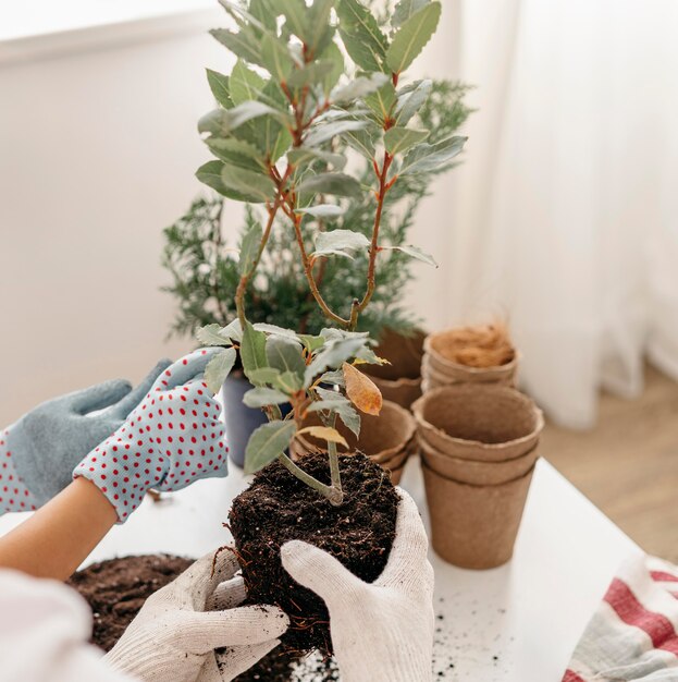 Pai e filho aprendendo a plantar juntos usando luvas