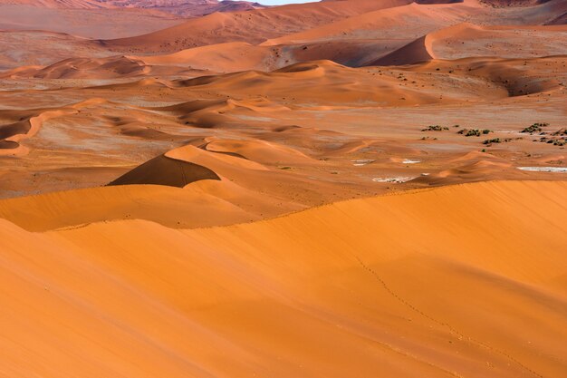 Paisagem bonita da areia alaranjada da duna de areia alaranjada no deserto de Namib no parque nacional Sossusvlei de Namib-Naukluft em Namíbia.