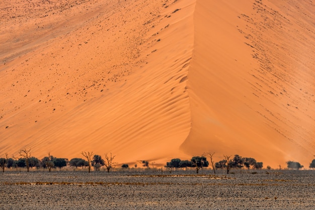 Foto grátis paisagem bonita da areia alaranjada da duna de areia alaranjada no deserto de namib no parque nacional sossusvlei de namib-naukluft em namíbia.