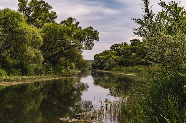 Paisagem bonita