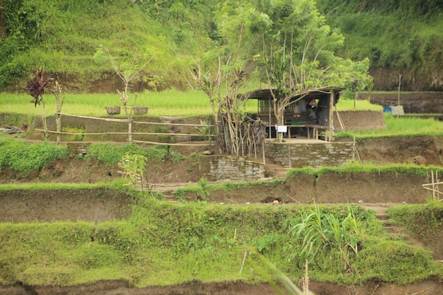 Paisagem bonita