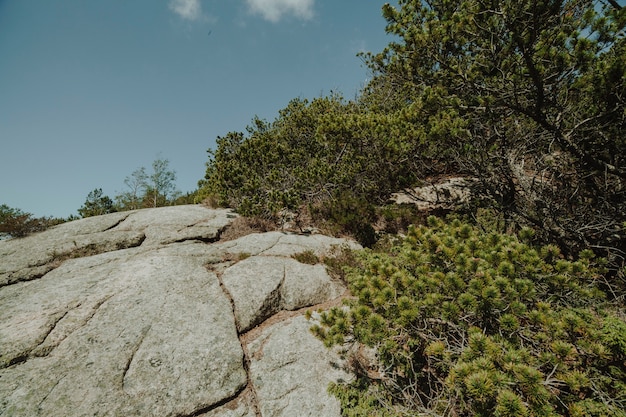 Foto grátis paisagem cheia de formações rochosas