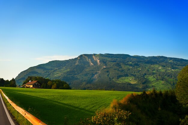 Paisagem com grande prado de montanha verde nos Alpes suíços.