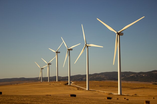 Paisagem com moinhos de vento