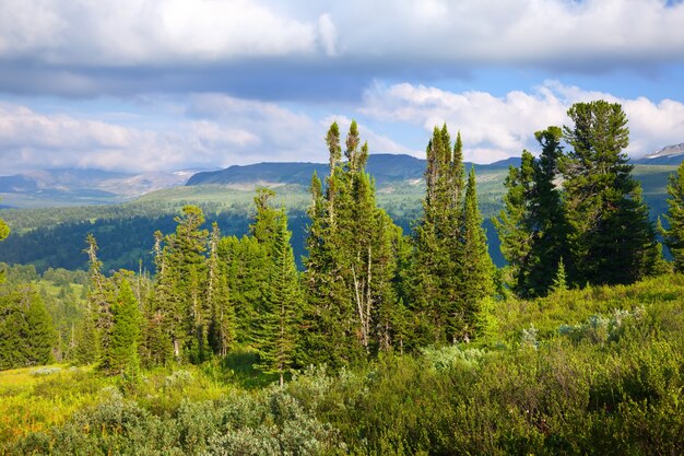 Paisagem com montanhas florestais