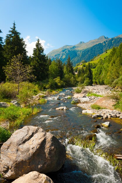 Paisagem com rio de montanha fluindo por uma floresta montanhosa nos Alpes suíços