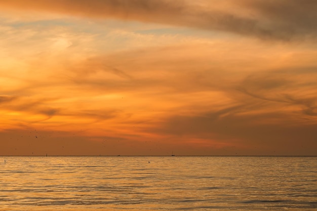 Paisagem com um pôr do sol sobre o mar Negro. Pôr do sol laranja flores queimadas. Fotografia natural da natureza