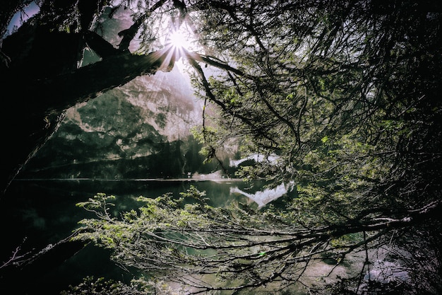 Foto grátis paisagem corpo de água