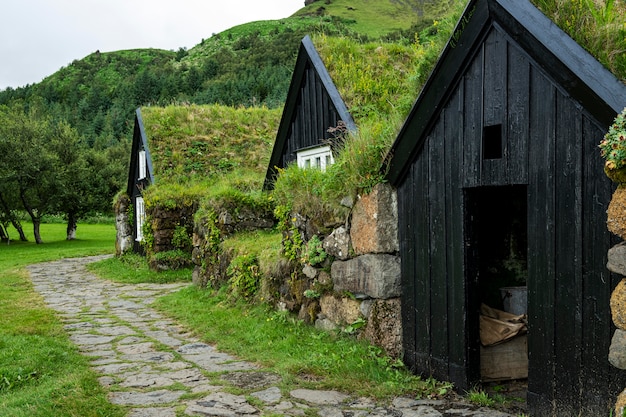 Paisagem da Islândia com belas casas