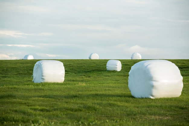 Paisagem da Islândia com belas planícies