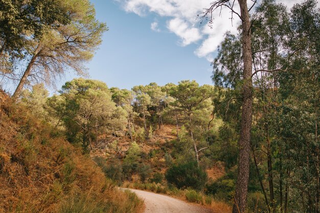 Paisagem da natureza