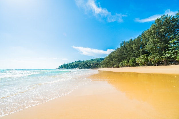 Foto grátis paisagem da praia branca relaxar férias