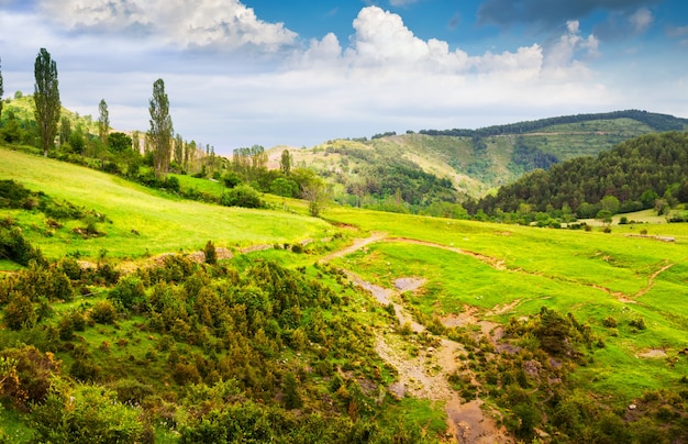 Paisagem das montanhas dos Pirenéus no verão. Huesca