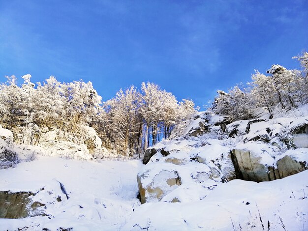 Paisagem de colinas cobertas de árvores e neve sob a luz do sol e um céu azul em Larvik, na Noruega