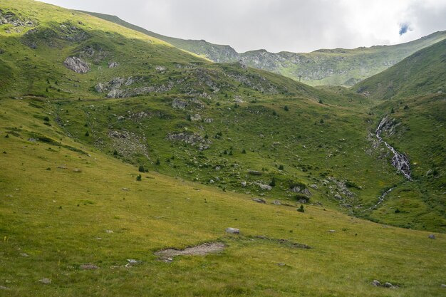 Paisagem de colinas cobertas de grama e árvores sob um céu nublado