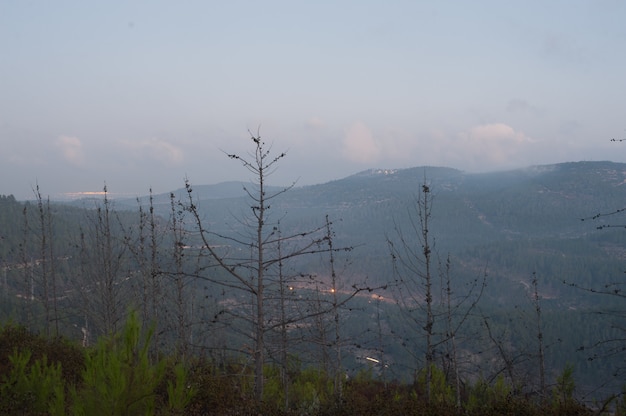 Paisagem de colinas cobertas de névoa de florestas e luzes sob um céu nublado durante a noite