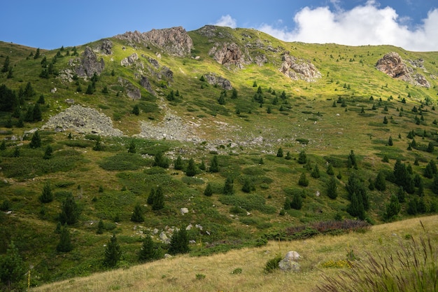 Paisagem de colinas cobertas de vegetação sob um céu azul e luz do sol durante o dia