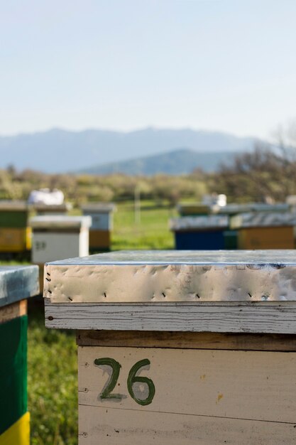 Paisagem de fazenda de mel