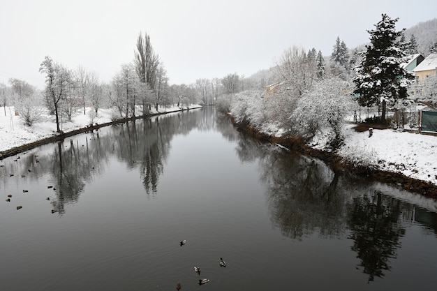 Paisagem de inverno com um rio. Passear com o cão. Fundo sazonal de inverno linda na natureza.