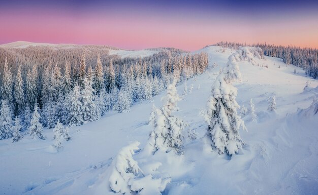 Paisagem de inverno fantástico nas montanhas. Pôr do sol mágico em um