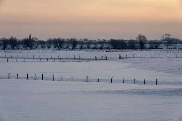 Paisagem de inverno hipnotizante coberta de neve fofa na Holanda