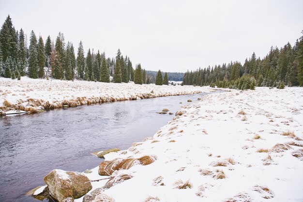 Paisagem de inverno perto de Modrava