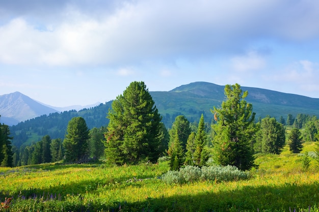 paisagem de montanhas horizontais