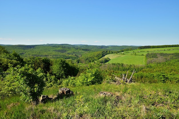 Paisagem de primavera na República Checa. Europa. Floresta e céu azul.