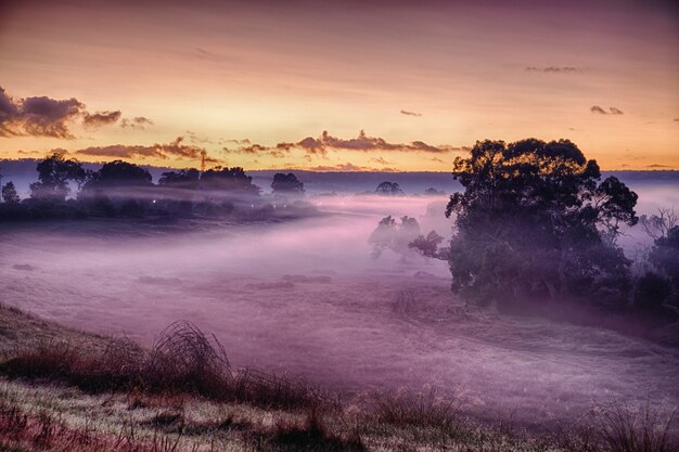 Paisagem de um campo coberto de grama e névoa sob a luz do sol durante um pôr do sol de tirar o fôlego